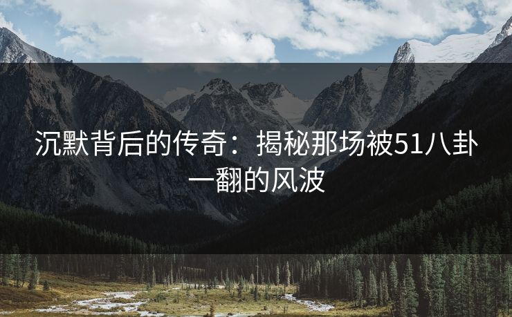 沉默背后的传奇：揭秘那场被51八卦一翻的风波